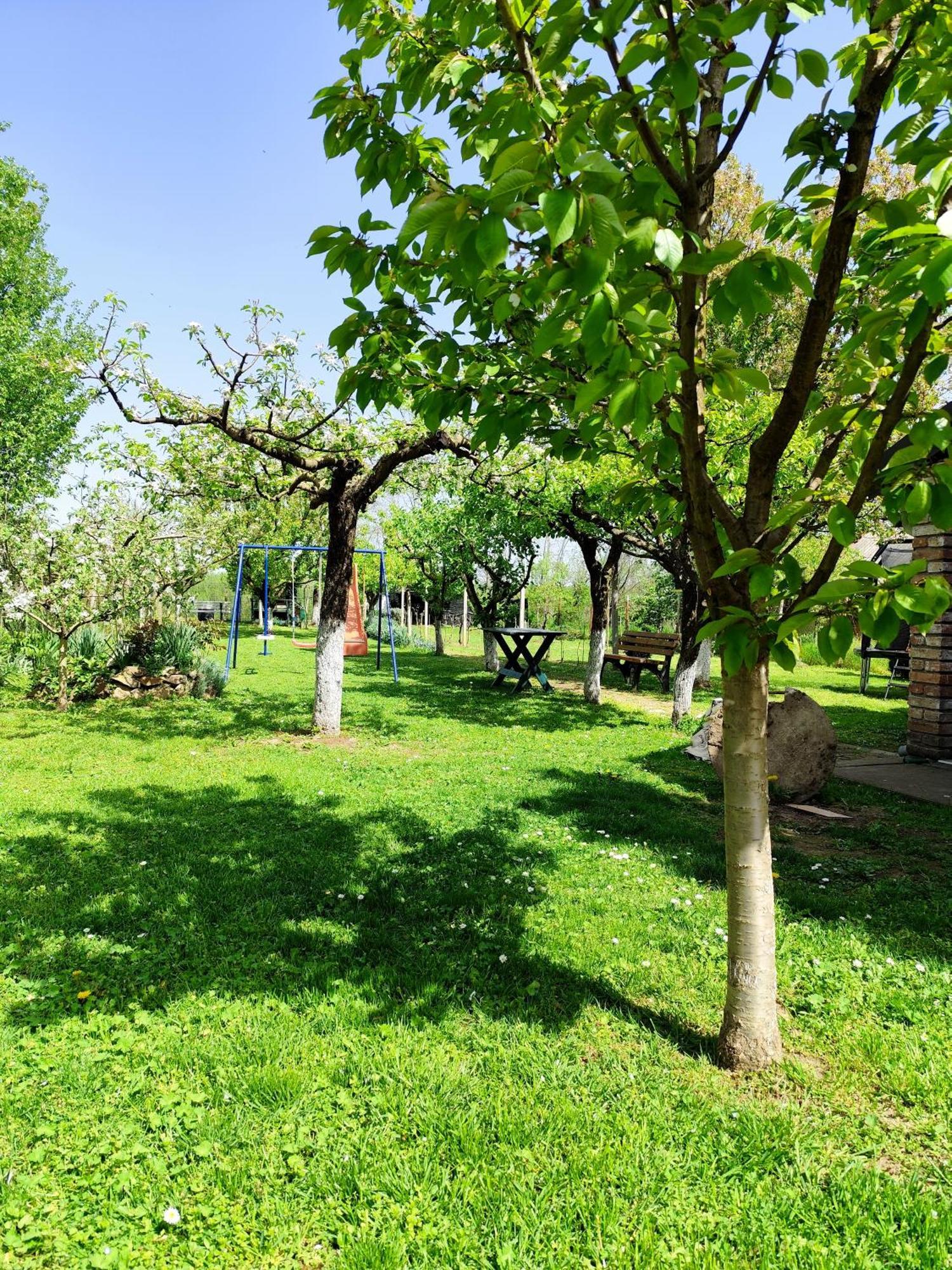 Kuca Za Odmor Mirni Kutak Vukovar Exterior photo
